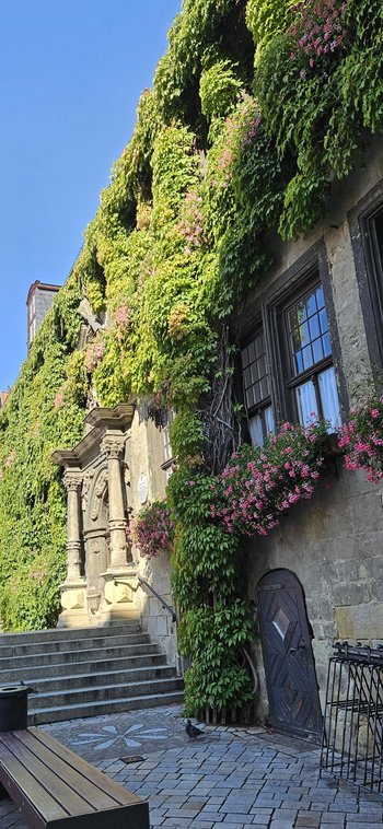 Stadtansicht Quedlinburg